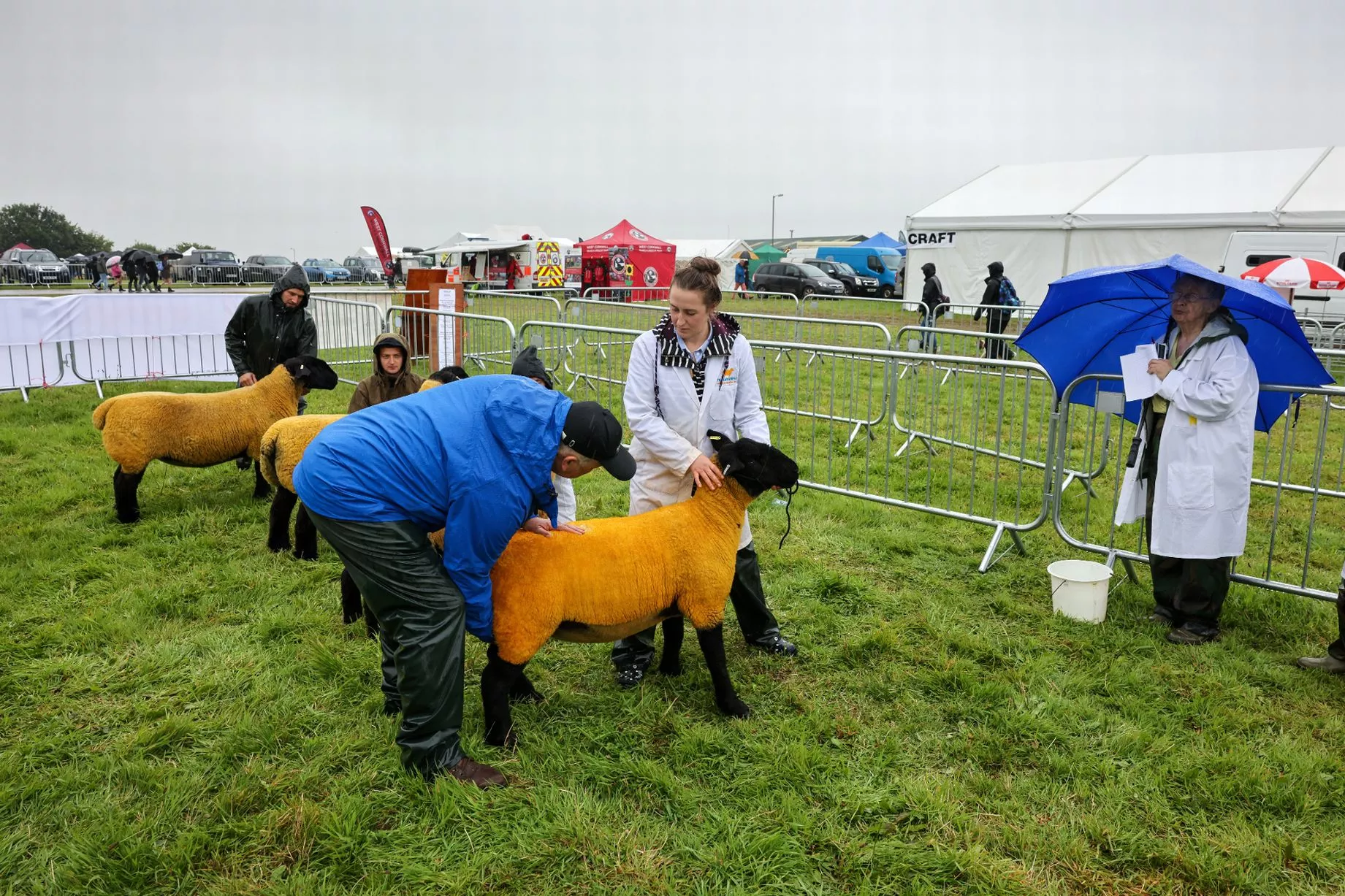 Despite weather warnings of rain for the South West, thousands attend Stithians Show on Monday, July 15. The show, which has been running since 1834, is said to be Cornwall's biggest one-day agricultural event.