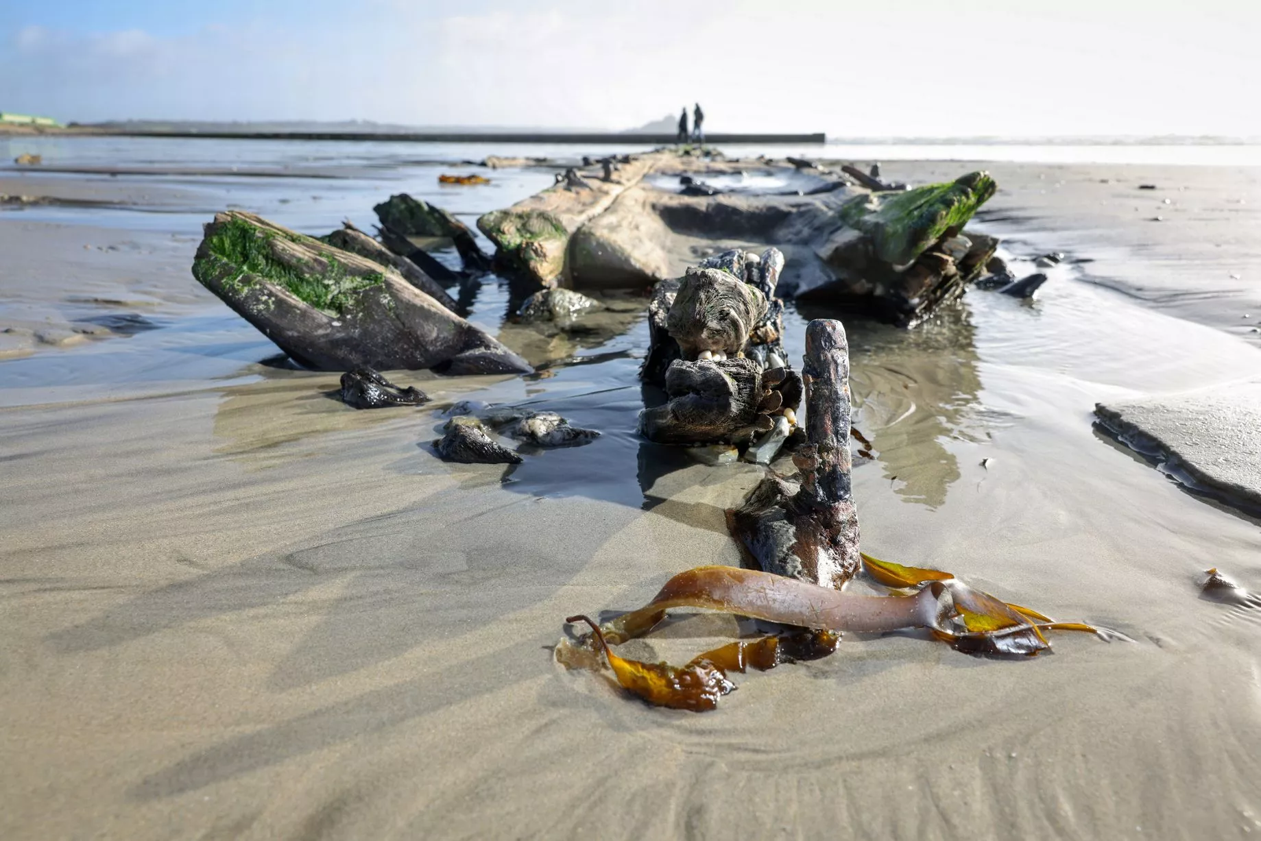 Back-to-back storms have uncovered a shipwreck at Long Rock near Penzance, the true identity of which is still up for debate.