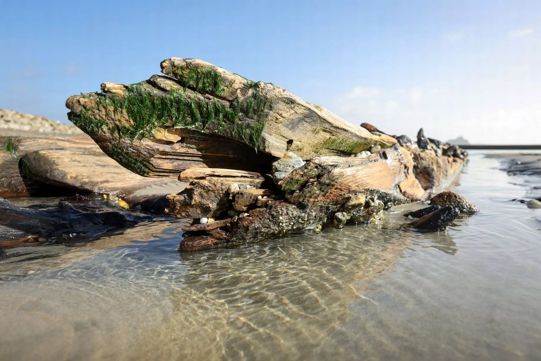 Back-to-back storms have uncovered a shipwreck at Long Rock near Penzance, the true identity of which is still up for debate.