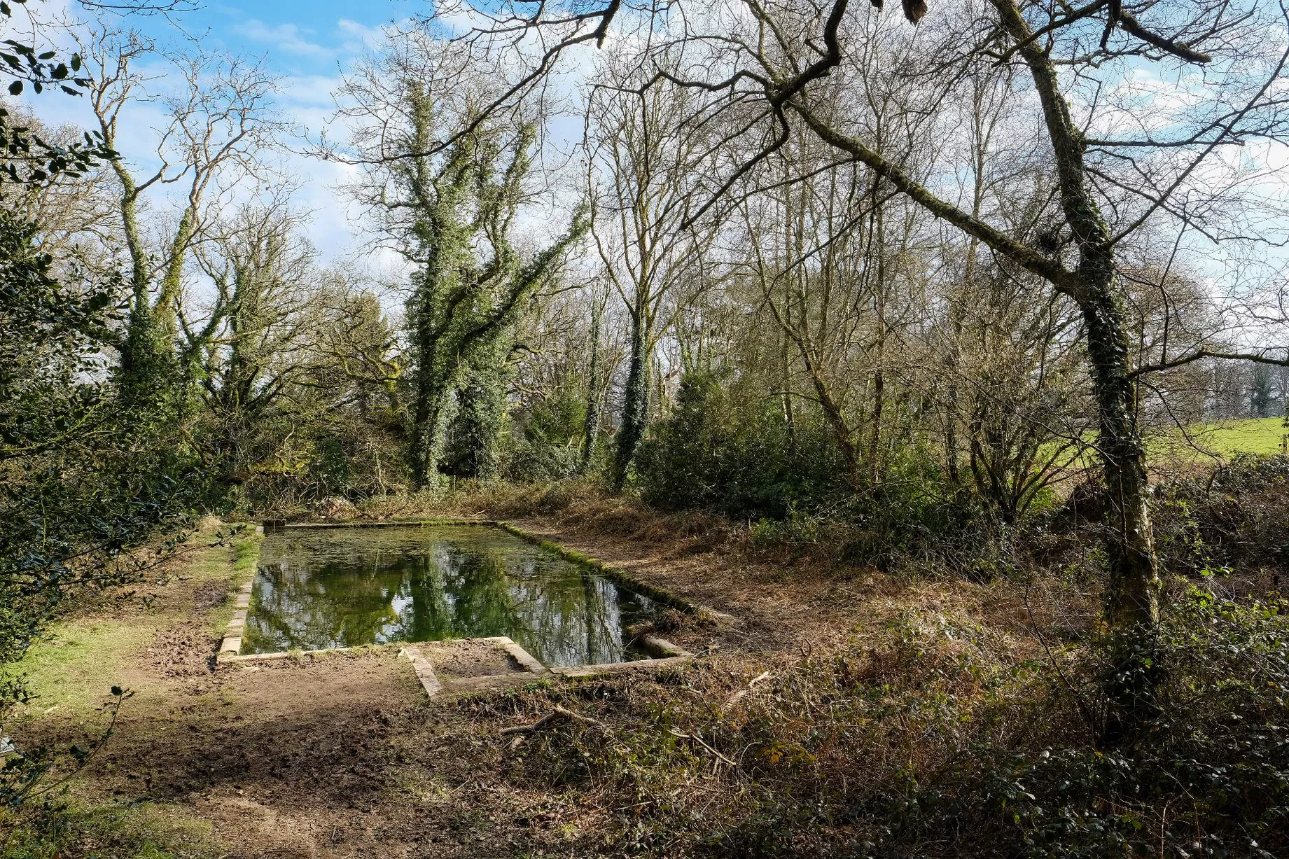 A Victorian swimming pool hidden in the woods at Lanhydrock estate.