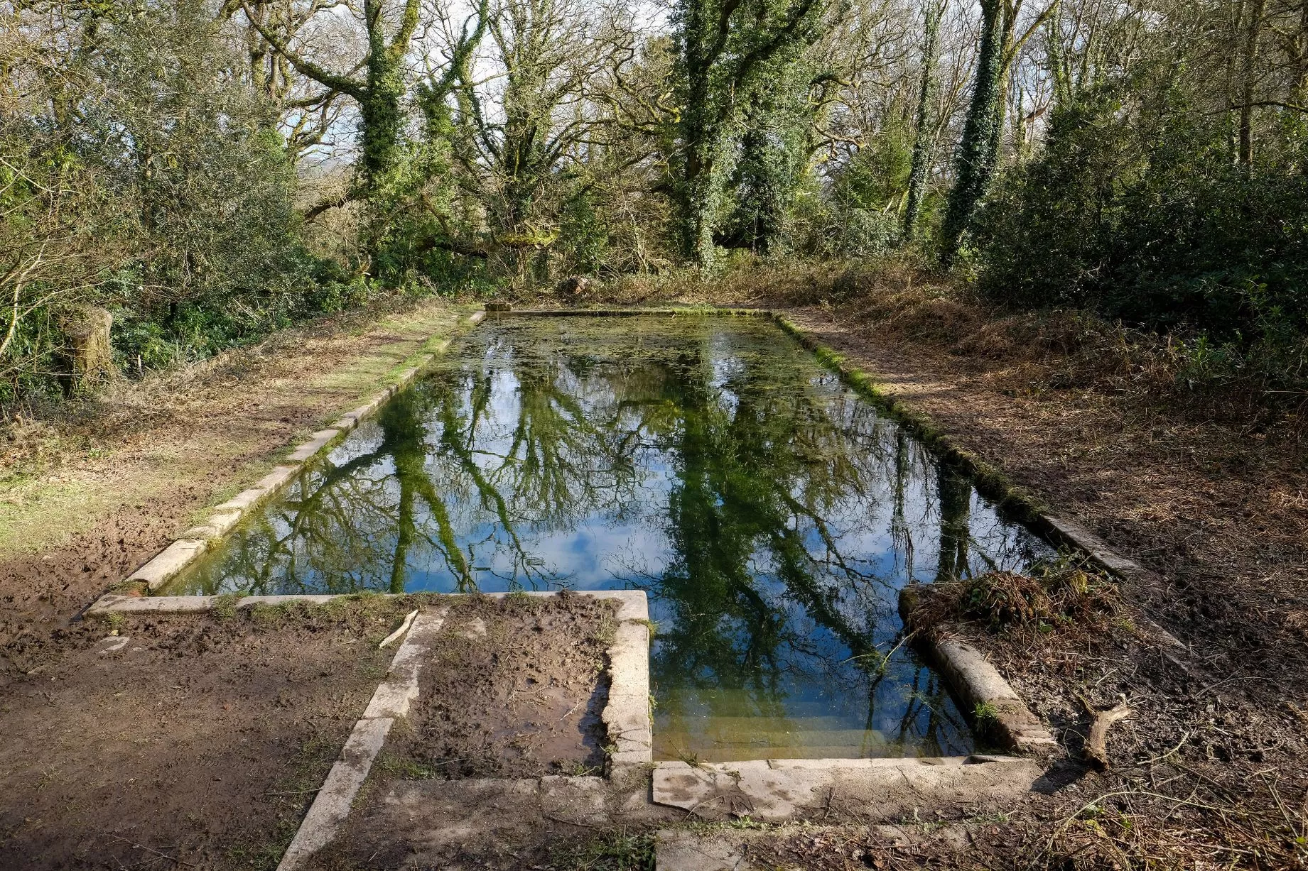 A Victorian swimming pool hidden in the woods at Lanhydrock estate.